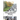 The Longest Walk