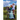 Picturing Annabella