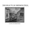 The Beauty of Imperfection