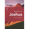 Journey Through Joshua: 30 Biblical Insights by David Sanford