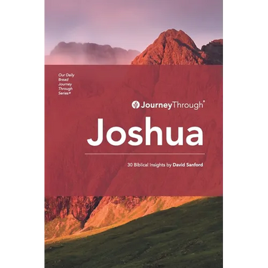 Journey Through Joshua: 30 Biblical Insights by David Sanford