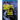 Celebrity Ghosts and Notorious Hauntings
