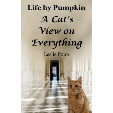 Life by Pumpkin: A Cat's View on Everything