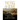 The Fall of Rome: A Novel of a World Lost