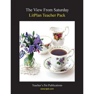Litplan Teacher Pack: The View from Saturday