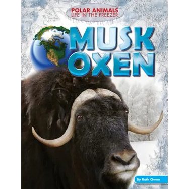 Musk Oxen