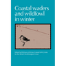 Coastal Waders and Wildfowl in Winter
