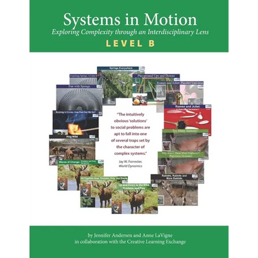 Systems in Motion Level B: Exploring Complexity through an Interdisciplinary Lens