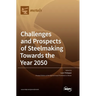 Challenges and Prospects of Steelmaking Towards the Year 2050