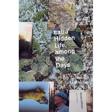 Extra Hidden Life, Among the Days