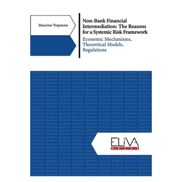 Non-Bank Financial Intermediation: The Reasons for a Systemic Risk Framework: Economic Mechanisms, Theoretical Models, Regulations