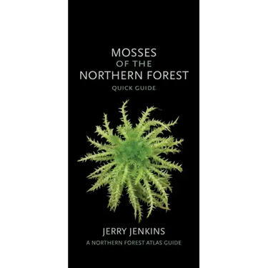 Mosses of the Northern Forest: Quick Guide