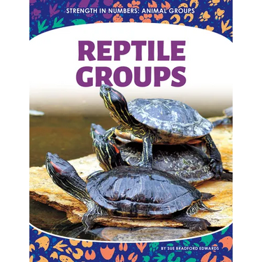 Reptile Groups