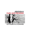 Jeremiah: Pain and Promise