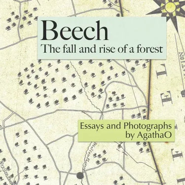 Beech: The Fall and Rise of a Forest