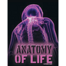 Anatomy of Life