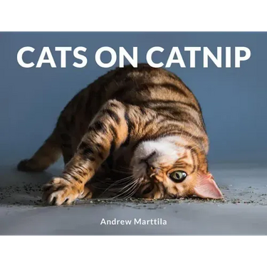 Cats on Catnip
