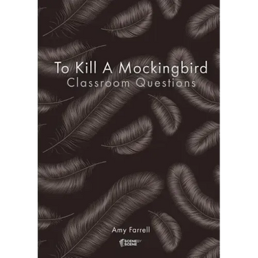 To Kill a Mockingbird Classroom Questions