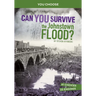 Can You Survive the Johnstown Flood?: An Interactive History Adventure