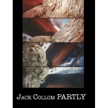 Partly: Selected Poems: 1954-2016