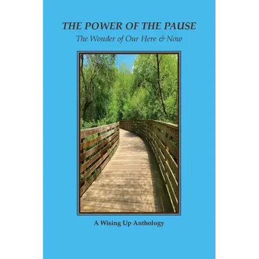 The Power of the Pause: The Wonder of Our Here & Now