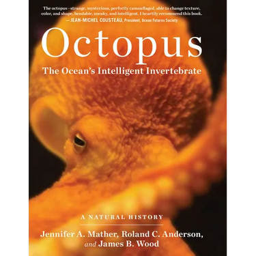 Octopus: The Ocean's Intelligent Invertebrate