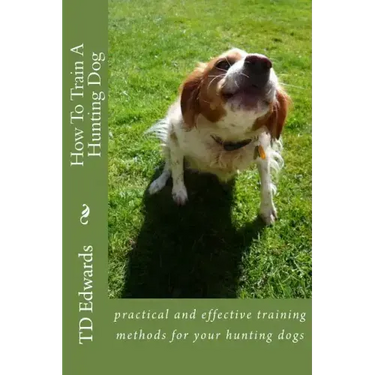 How To Train A Hunting Dog
