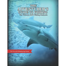 The Adventurer's Guide to Fishing: The Ultimate RPG Fishing Mechanic