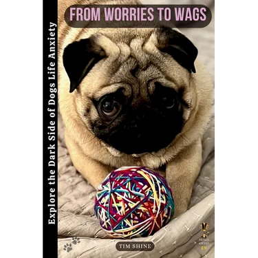 From Worries to Wags: Explore the Dark Side of Dogs' Life