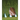 Bats of Colima, Mexico, Volume 14