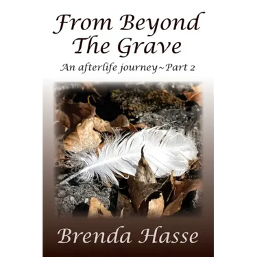 From Beyond The Grave: An afterlife journey Part 2