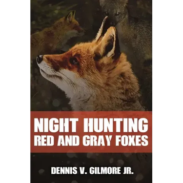 Night Hunting Red And Gray Foxes