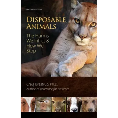 Disposable Animals: The Harms We Inflict & How We Stop