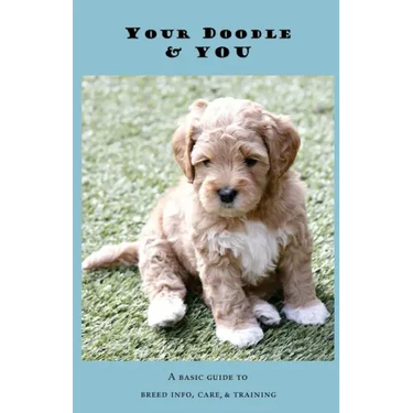 Your Doodle & You: A Guide to Breed Info, Basic Care & Training