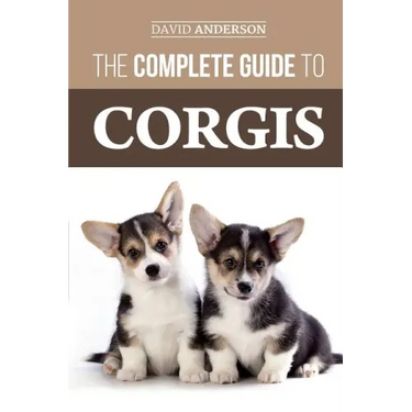 The Complete Guide to Corgis: Everything to know about both the Pembroke Welsh and Cardigan Welsh Corgi dog breeds