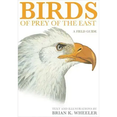 Birds of Prey of the East: A Field Guide