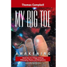 My Big TOE - Awakening S: Book 1 of a Trilogy Unifying of Philosophy, Physics, and Metaphysics