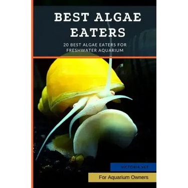 Best Algae Eaters: 20 Best Algae Eaters for Freshwater Aquarium