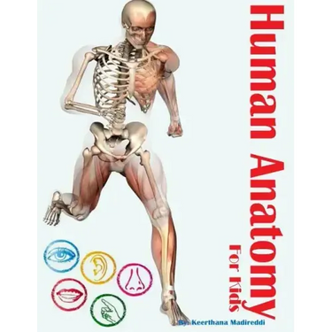 Human Anatomy for Kids