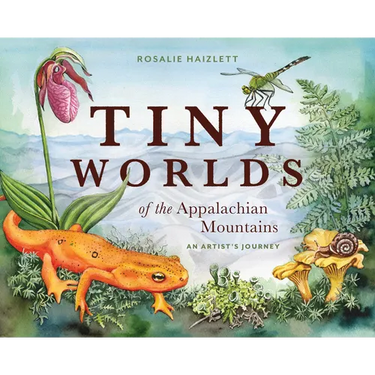 Tiny Worlds of the Appalachian Mountains: An Artist's Journey