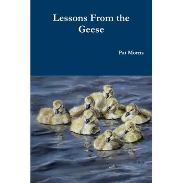 Lessons From the Geese