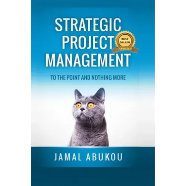 Strategic Project Management: To The Point And Nothing More