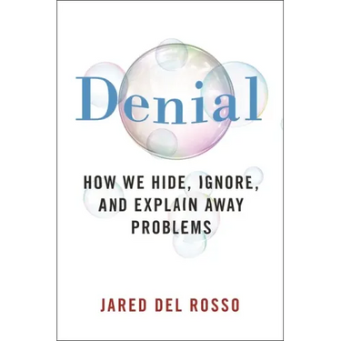 Denial: How We Hide, Ignore, and Explain Away Problems