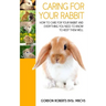 Caring For Your Rabbit: How to care for your Rabbit and everything you need to know to keep them well