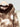 c20c7da5-e92f-4306-9b6e-b3d95661da91-Max