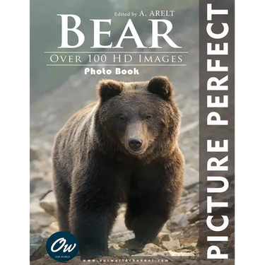 Bear: Picture Perfect Photo Book: Over 100 HD Images
