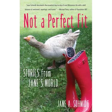 Not a Perfect Fit: Stories from Jane's World