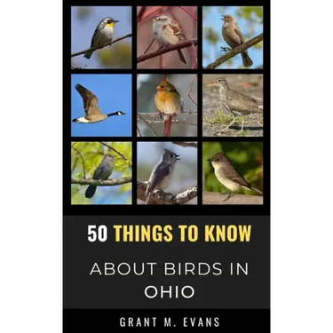 50 Things to Know About Birds in Ohio: Birdwatching in the Buckeye State