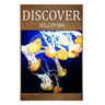 Jellyfish - Discover: Early reader's wildlife photography book