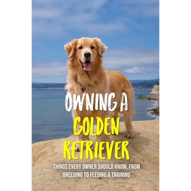 Owning A Golden Retriever: Things Every Owner Should Know, From Breeding To Feeding & Training: The Best Breeding Practices For Golden Retrievers